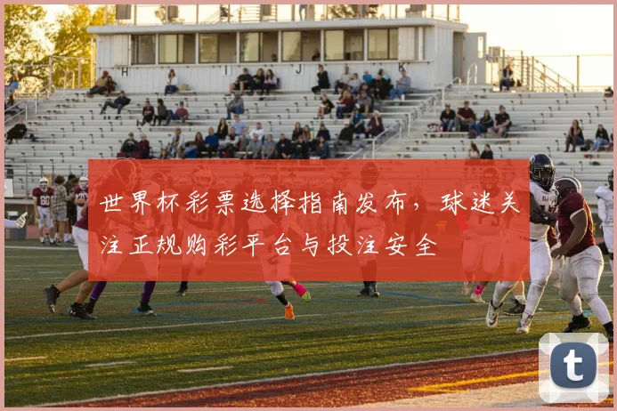 世界杯彩票选择指南发布,球迷关注正规购彩平台与投注安全