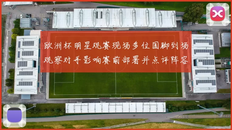 欧洲杯明星观赛现场多位国脚到场观察对手影响赛前部署并点评阵容