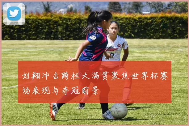 刘翔冲击跨栏大满贯聚焦世界杯赛场表现与夺冠前景