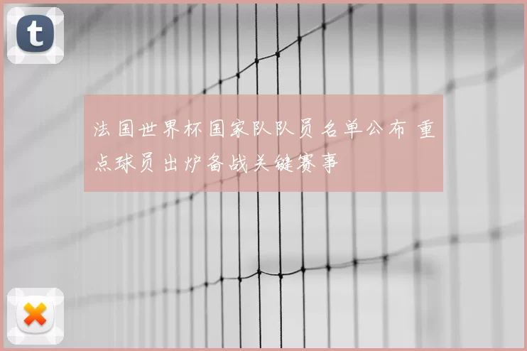 法国世界杯国家队队员名单公布 重点球员出炉备战关键赛事