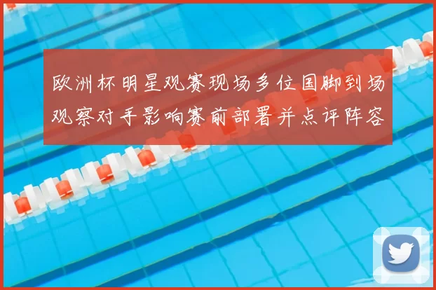 欧洲杯明星观赛现场多位国脚到场观察对手影响赛前部署并点评阵容
